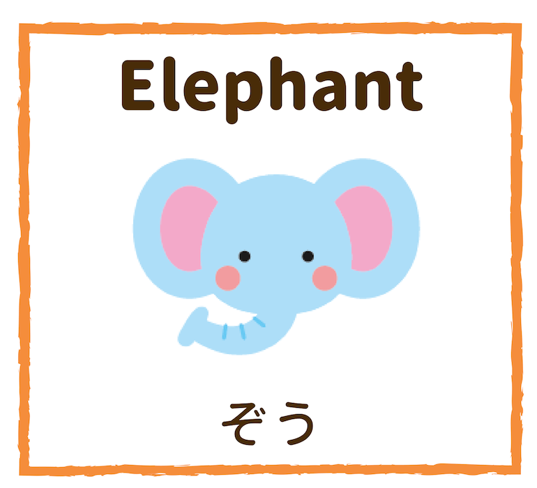 Elephant／ぞう