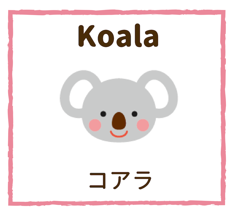 Koala／コアラ