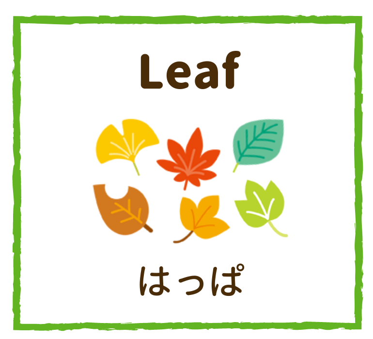 Leaf／はっぱ
