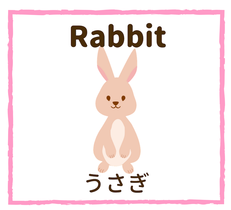 Rabbit／うさぎ
