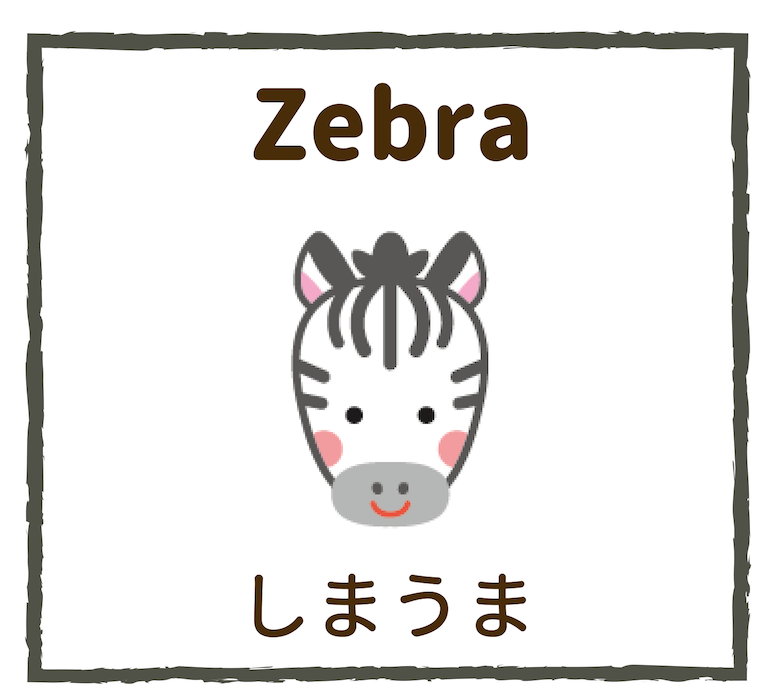 Zebra／しまうま